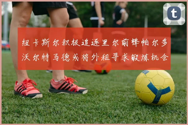 纽卡斯尔积极追逐里尔前锋帕尔多沃尔特马德或将外租寻求锻炼机会